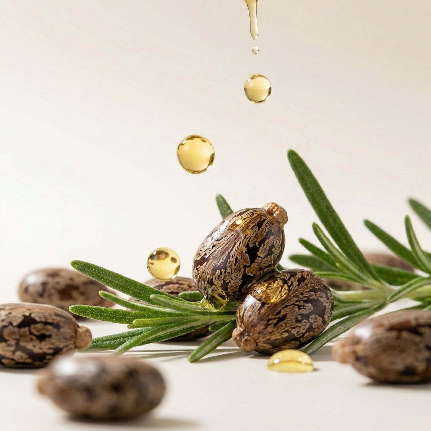 Velora FortéRoot™ – Sérum Nourrissant Ricin & Romarin